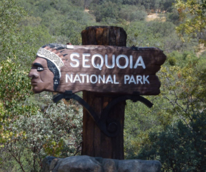 Why Road Trips and Selfies Will Always Keep Monument Signs Relevant 1